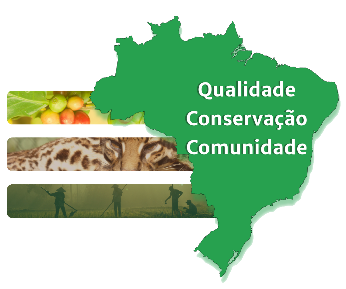 Do Brasil Para o Mundo 2.png